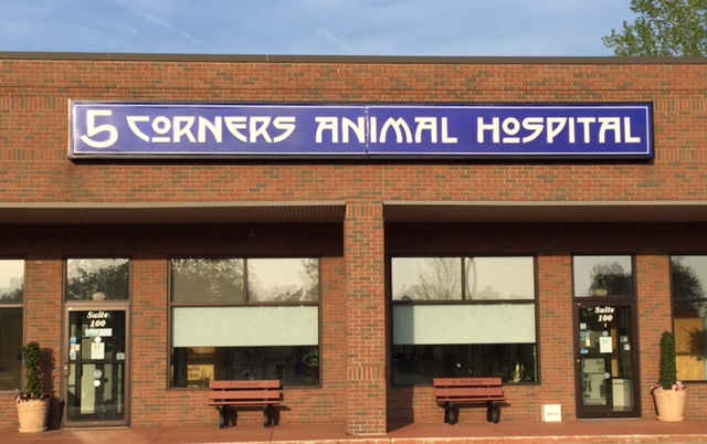 5 Corners Animal Hospital in Orchard Park, NY